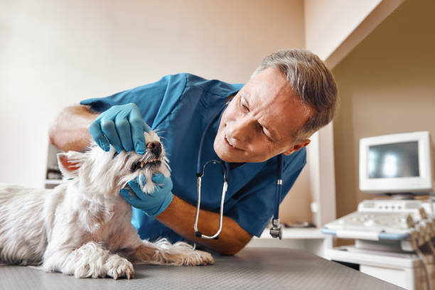 Best Emergency Dental Extractions in Whitmire, SC